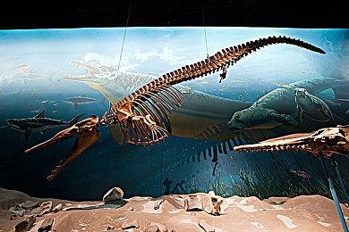 日本实体月榜：《装甲核心》太小众？《皮克敏4》卫冕